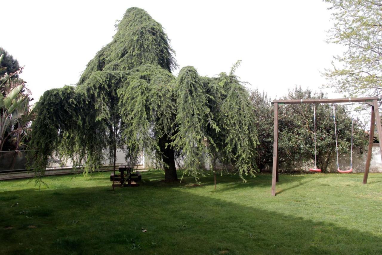 Casa Ventura Farm stay